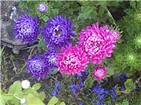 d4d6efdf-Picture 005.jpg